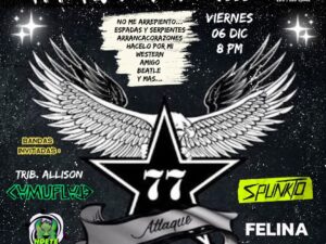 ATTAQUE PUNK