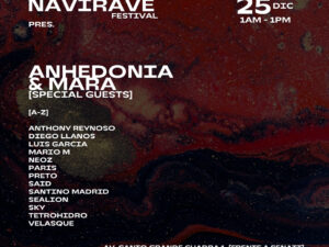 Navi Rave Festival